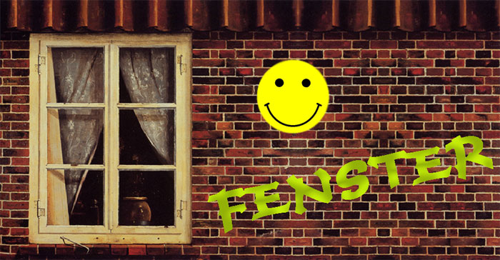 fenster1